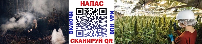 Названия наркотиков Вольск Каннабис  Alpha-PVP  Вейп ТГК  Меф мяу мяу 