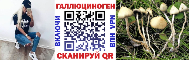 Псилоцибиновые грибы Psilocybe  shop официальный сайт  Вольск 