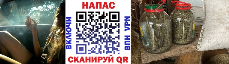 Конопля семена Вольск